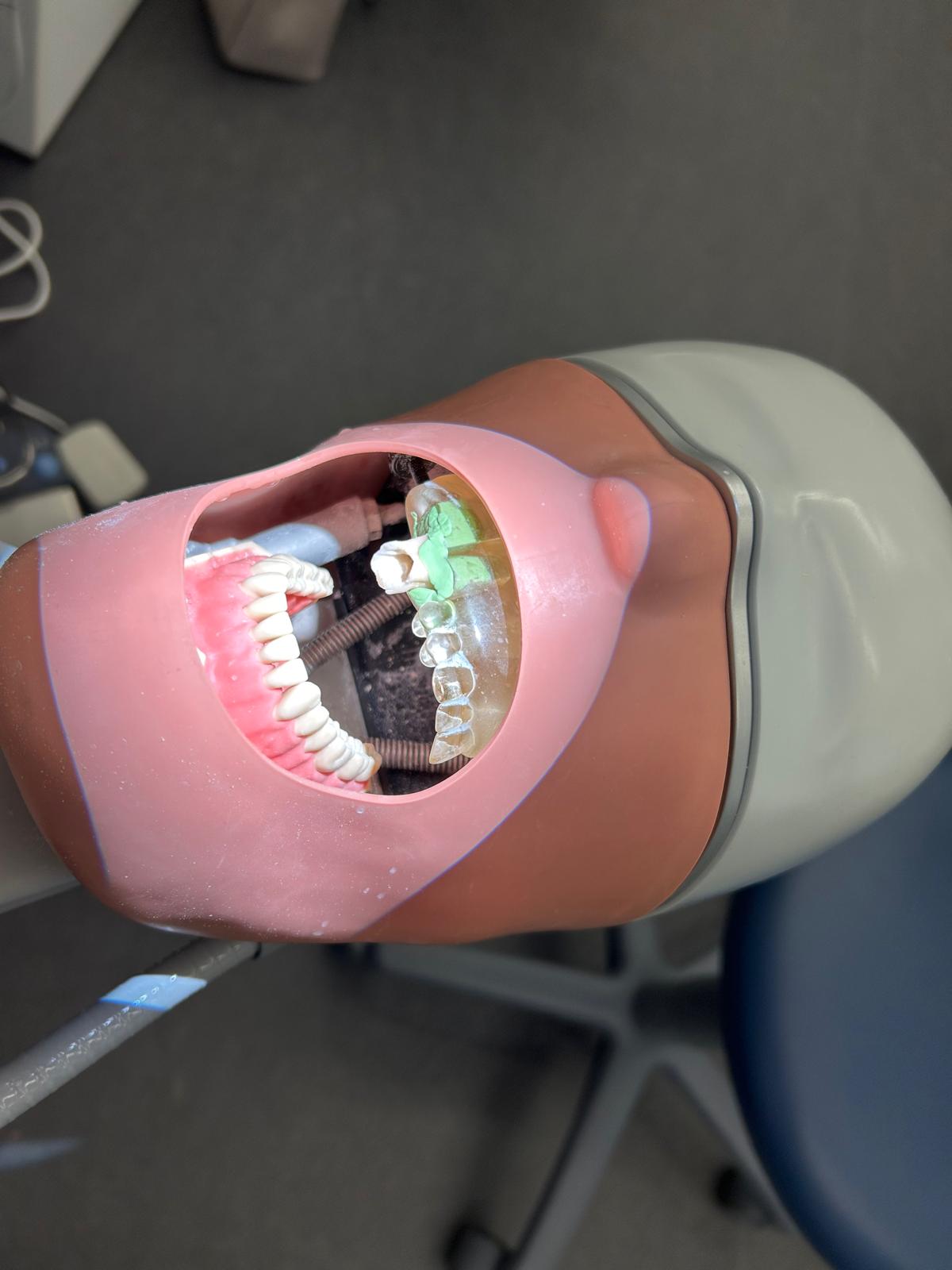 Endo PraxisPro: Basic Module